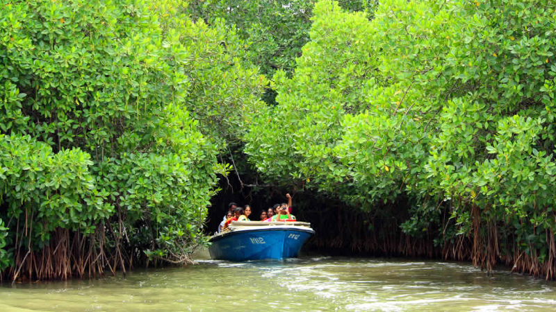 Chidambaram and Pichavaram Day Trip from Pondicherry - India | TripNxt