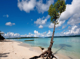 Best Selling 5 Nights 6 Days Andaman Tour