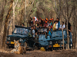 8 - Days Golden Triangle Tour With Ranthambore Tiger Safari