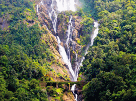 Goa: Waterfall Trip with Jeep Safari at Dudhsagar